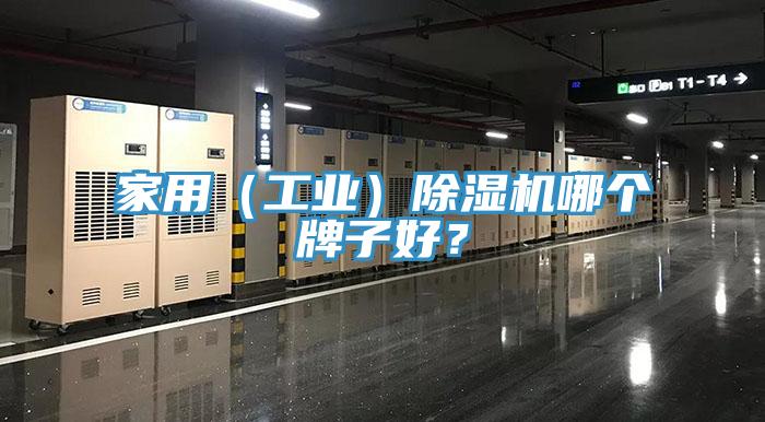家用（工業(yè)）除濕機哪個牌子好？