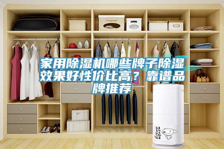 家用除濕機哪些牌子除濕效果好性價比高？靠譜品牌推薦