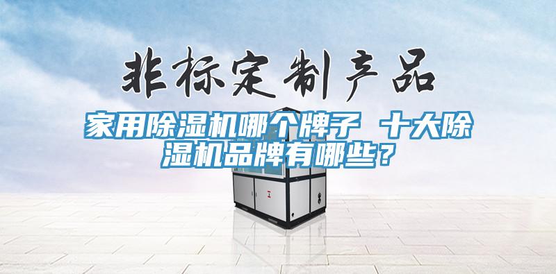 家用除濕機哪個牌子 十大除濕機品牌有哪些？