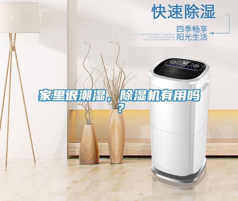 家里很潮濕，除濕機有用嗎？