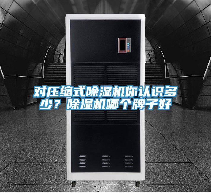 對壓縮式除濕機你認識多少？除濕機哪個牌子好
