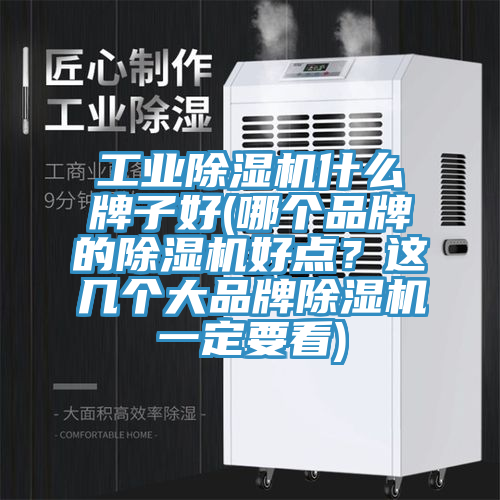 工業(yè)除濕機什么牌子好(哪個品牌的除濕機好點？這幾個大品牌除濕機一定要看)