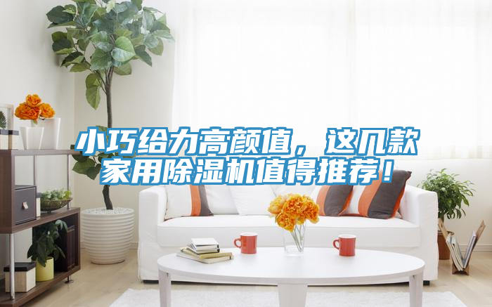 小巧給力高顏值，這幾款家用除濕機(jī)值得推薦！