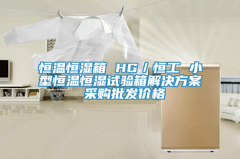 恒溫恒濕箱 HG／恒工 小型恒溫恒濕試驗(yàn)箱解決方案 采購批發(fā)價格