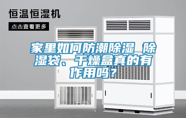 家里如何防潮除濕 除濕袋、干燥盒真的有作用嗎？