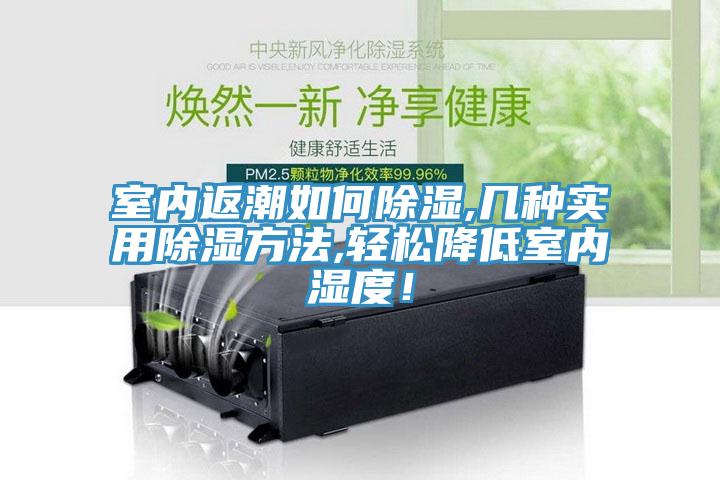 室內(nèi)返潮如何除濕,幾種實(shí)用除濕方法,輕松降低室內(nèi)濕度！