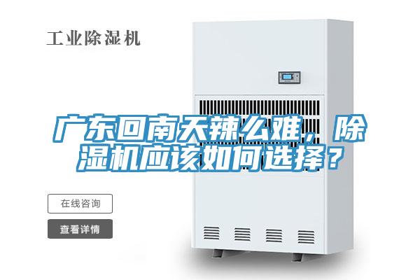 廣東回南天辣么難，除濕機(jī)應(yīng)該如何選擇？