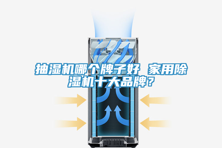 抽濕機(jī)哪個(gè)牌子好 家用除濕機(jī)十大品牌？