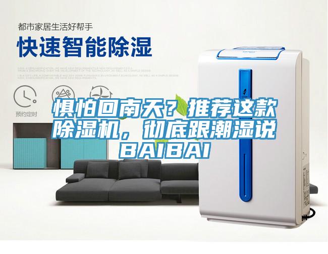 懼怕回南天？推薦這款除濕機，徹底跟潮濕說BAIBAI