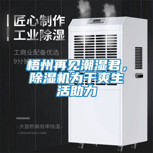 梧州再見潮濕君，除濕機(jī)為干爽生活助力