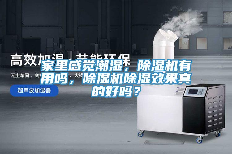 家里感覺潮濕，除濕機有用嗎，除濕機除濕效果真的好嗎？