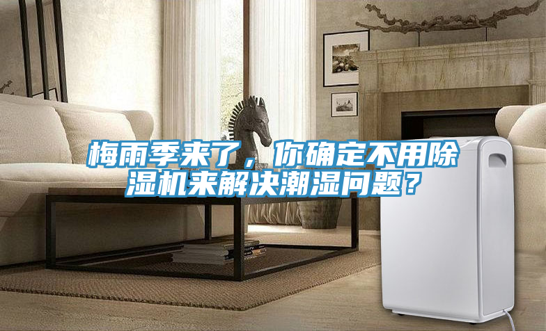 梅雨季來了，你確定不用除濕機來解決潮濕問題？