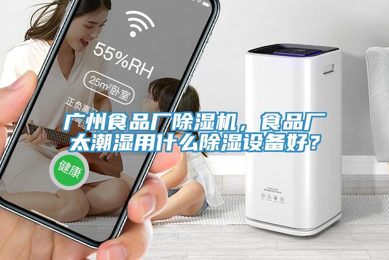廣州食品廠除濕機，食品廠太潮濕用什么除濕設(shè)備好？