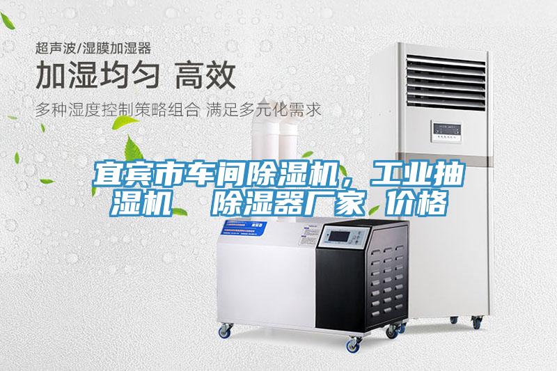 宜賓市車間除濕機，工業(yè)抽濕機  除濕器廠家 價格