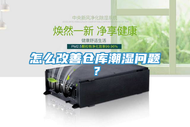 怎么改善倉庫潮濕問題？