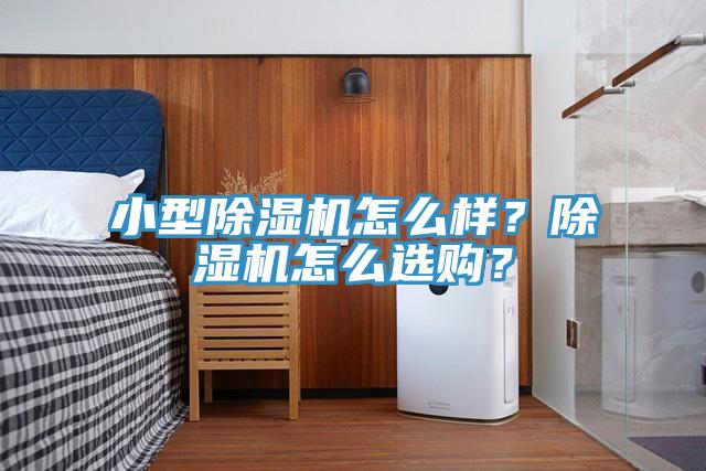 小型除濕機(jī)怎么樣？除濕機(jī)怎么選購？