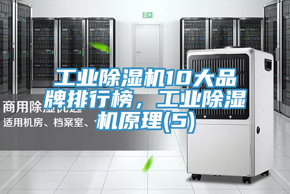工業(yè)除濕機10大品牌排行榜，工業(yè)除濕機原理(5)