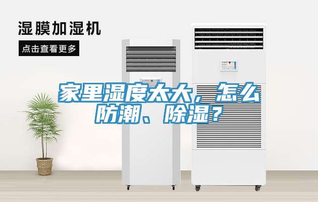 家里濕度太大，怎么防潮、除濕？