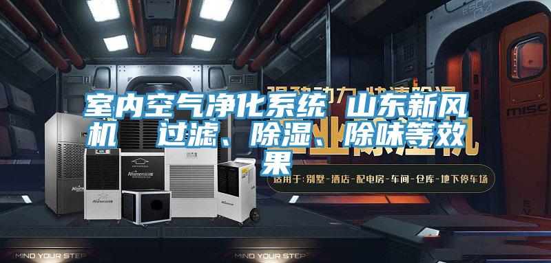 室內(nèi)空氣凈化系統(tǒng) 山東新風(fēng)機(jī)  過濾、除濕、除味等效果