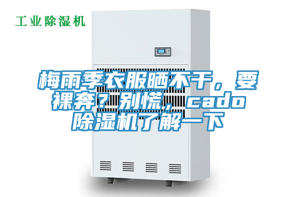 梅雨季衣服曬不干，要裸奔？別慌，cado除濕機了解一下