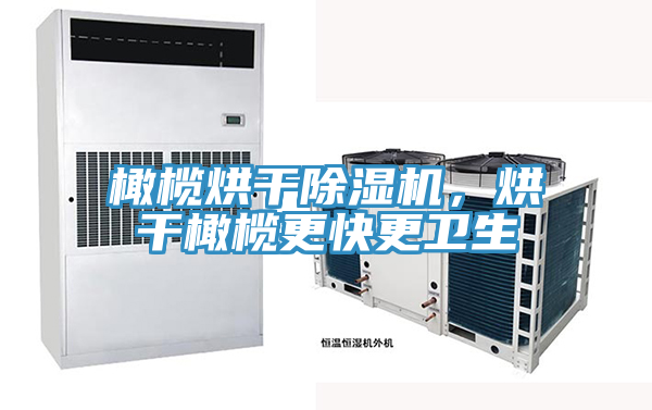 橄欖烘干除濕機，烘干橄欖更快更衛(wèi)生