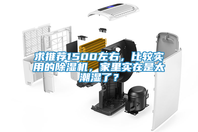 求推薦1500左右，比較實用的除濕機，家里實在是太潮濕了？