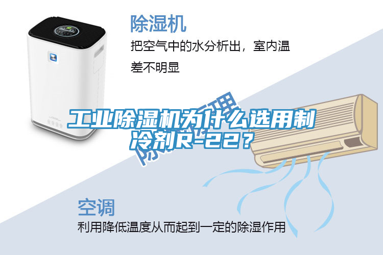 工業(yè)除濕機為什么選用制冷劑R-22？