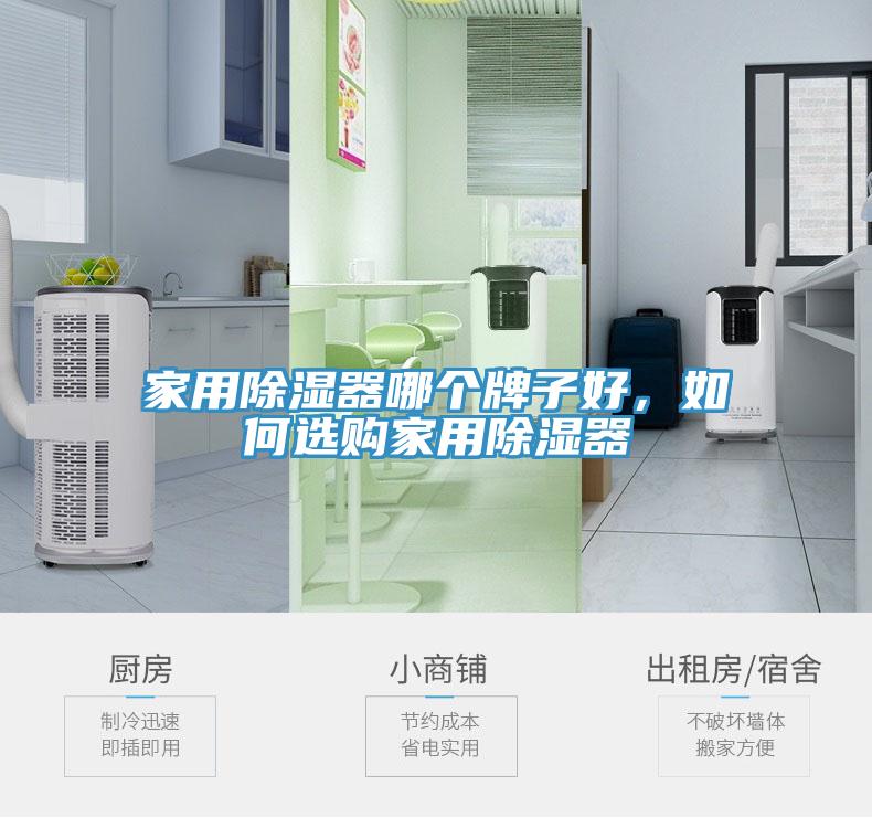 家用除濕器哪個牌子好，如何選購家用除濕器