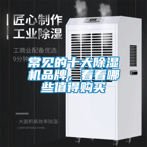 常見(jiàn)的十大除濕機(jī)品牌，看看哪些值得購(gòu)買(mǎi)