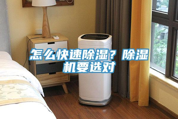 怎么快速除濕？除濕機要選對