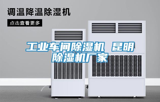 工業(yè)車(chē)間除濕機(jī) 昆明除濕機(jī)廠(chǎng)家