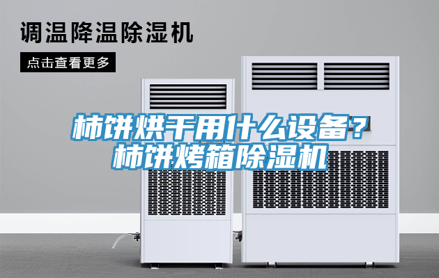 柿餅烘干用什么設(shè)備？柿餅烤箱除濕機