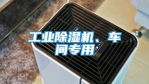 工業(yè)除濕機(jī)、車間專用