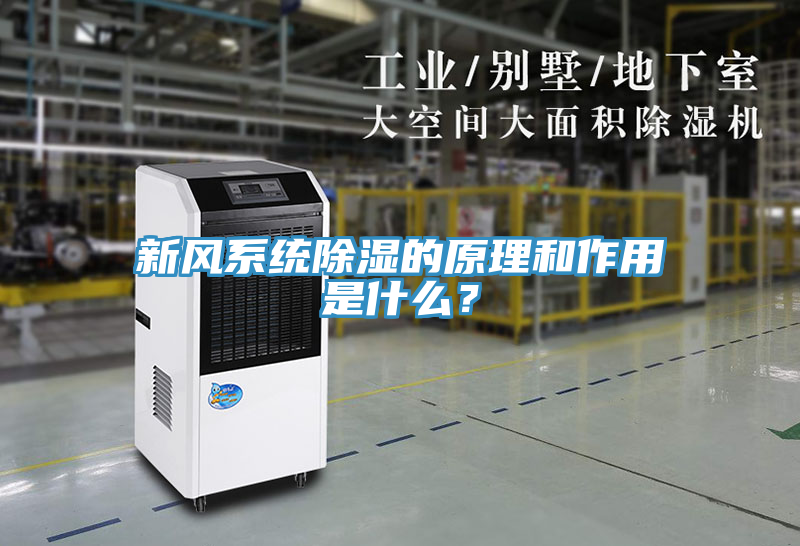 新風(fēng)系統(tǒng)除濕的原理和作用是什么？