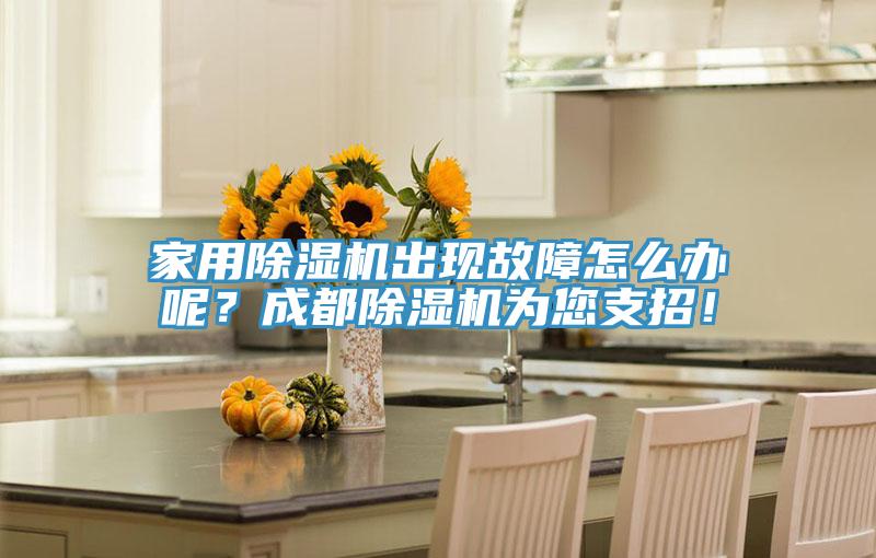 家用除濕機(jī)出現(xiàn)故障怎么辦呢？成都除濕機(jī)為您支招！
