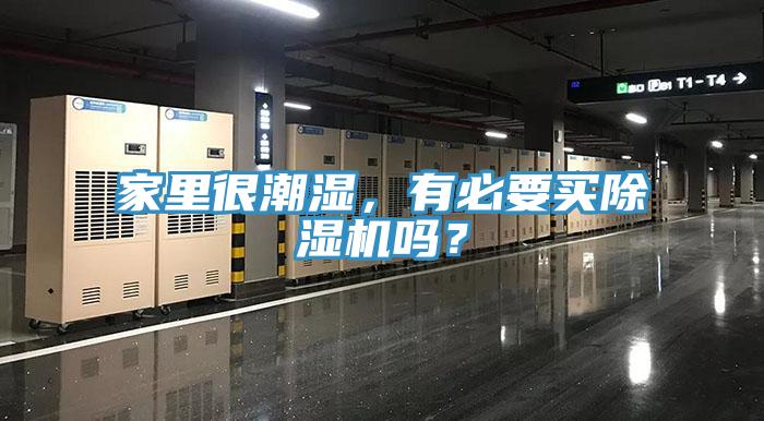 家里很潮濕，有必要買除濕機嗎？