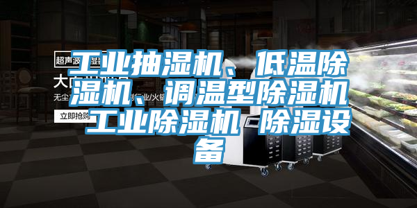 工業(yè)抽濕機(jī)、低溫除濕機(jī)、調(diào)溫型除濕機(jī) 工業(yè)除濕機(jī) 除濕設(shè)備