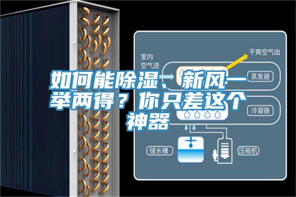 如何能除濕、新風(fēng)一舉兩得？你只差這個(gè)神器