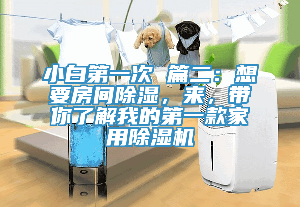 小白第一次 篇二：想要房間除濕，來，帶你了解我的第一款家用除濕機(jī)
