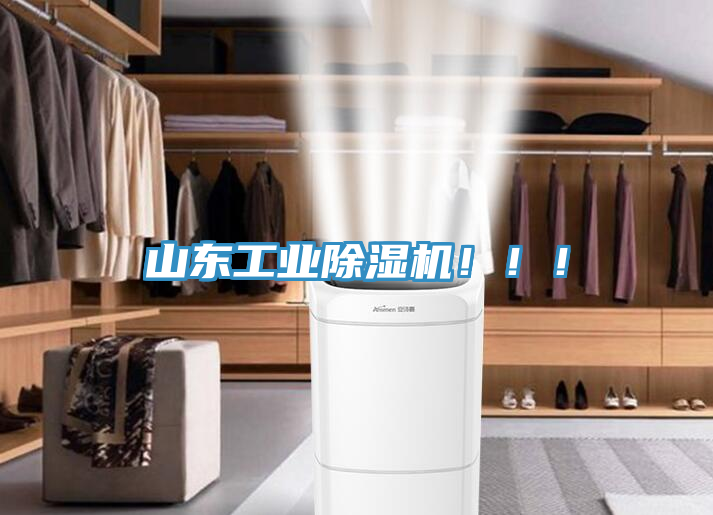 山東工業(yè)除濕機?。。?></div>
								<div   id=