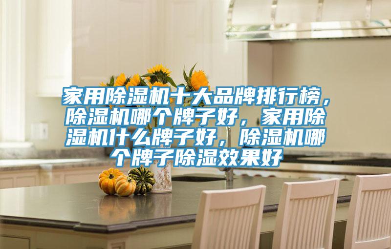家用除濕機十大品牌排行榜，除濕機哪個牌子好，家用除濕機什么牌子好，除濕機哪個牌子除濕效果好