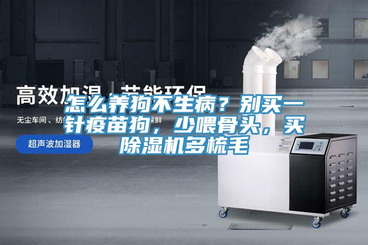 怎么養(yǎng)狗不生?。縿e買一針疫苗狗，少喂骨頭，買除濕機(jī)多梳毛