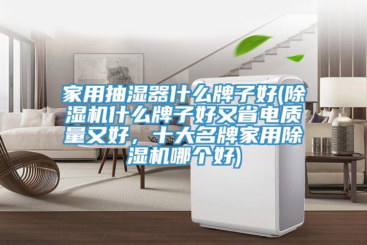家用抽濕器什么牌子好(除濕機什么牌子好又省電質(zhì)量又好，十大名牌家用除濕機哪個好)