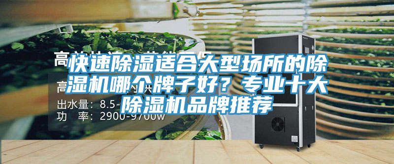 快速除濕適合大型場所的除濕機哪個牌子好？專業(yè)十大除濕機品牌推薦
