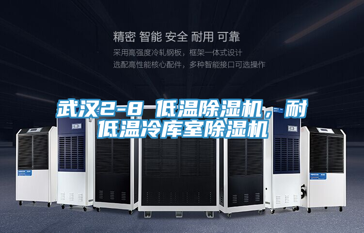 武漢2-8℃低溫除濕機(jī)，耐低溫冷庫(kù)室除濕機(jī)