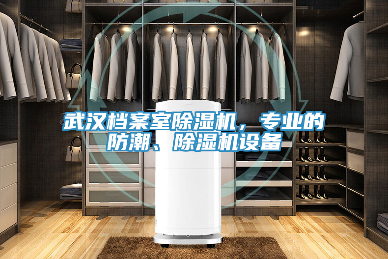 武漢檔案室除濕機(jī)，專業(yè)的防潮、除濕機(jī)設(shè)備