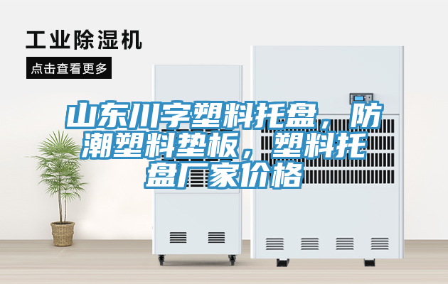 山東川字塑料托盤，防潮塑料墊板，塑料托盤廠家價格