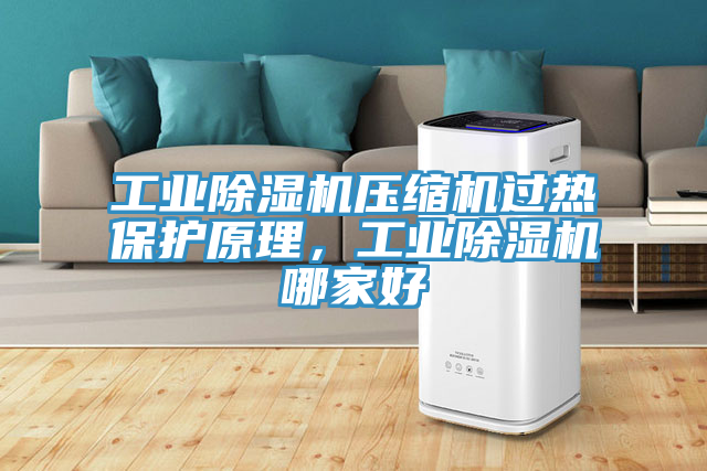 工業(yè)除濕機壓縮機過熱保護原理，工業(yè)除濕機哪家好