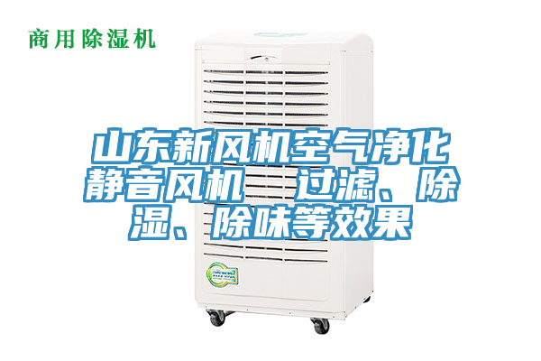 山東新風(fēng)機空氣凈化靜音風(fēng)機  過濾、除濕、除味等效果