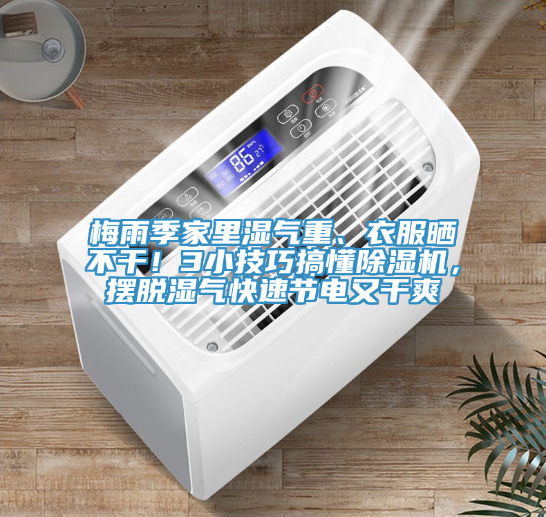 梅雨季家里濕氣重、衣服曬不干！3小技巧搞懂除濕機(jī)，擺脫濕氣快速節(jié)電又干爽